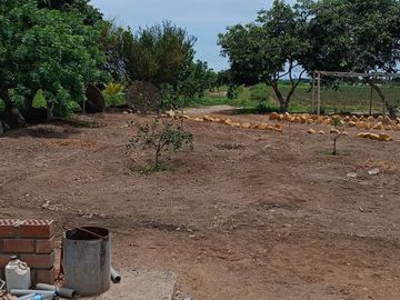VENDO AMPLIO TERRENO DE 5 HECTÁREAS EN PAMPA DE ÑOCO (CERCA A PLAYA TOTORITAS). – CHINCHA ALTA