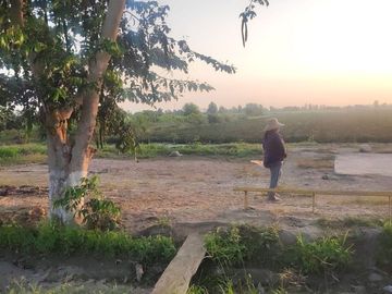 VENDO AMPLIO TERRENO DE 5 HECTÁREAS EN PAMPA DE ÑOCO (CERCA A PLAYA TOTORITAS). – CHINCHA ALTA