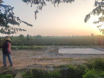 VENDO AMPLIO TERRENO DE 5 HECTÁREAS EN PAMPA DE ÑOCO (CERCA A PLAYA TOTORITAS). – CHINCHA ALTA