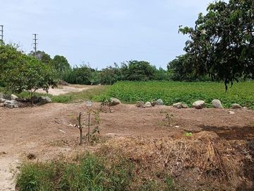 VENDO AMPLIO TERRENO DE 5 HECTÁREAS EN PAMPA DE ÑOCO (CERCA A PLAYA TOTORITAS). – CHINCHA ALTA