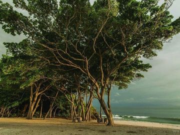 Departamento en Venta Bolongo: Frente Al Mar en Punta de Mita