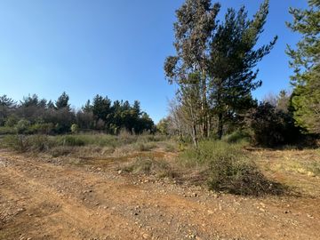 Parcela de 5.000M2 sector El Cardal, comuna Pinto