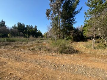Parcela de 5.000M2 sector El Cardal, comuna Pinto