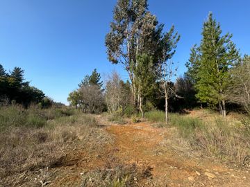 Parcela de 5.000M2 sector El Cardal, comuna Pinto