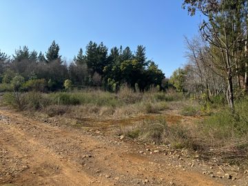 Parcela de 5.000M2 sector El Cardal, comuna Pinto
