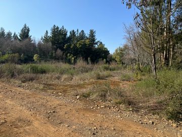 Parcela de 5.000M2 sector El Cardal, comuna Pinto