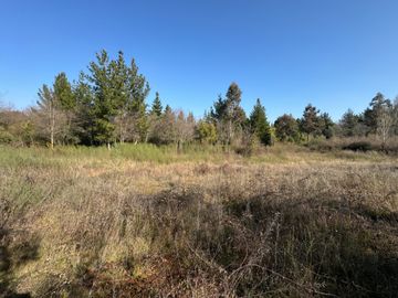 Parcela de 5.000M2 sector El Cardal, comuna Pinto