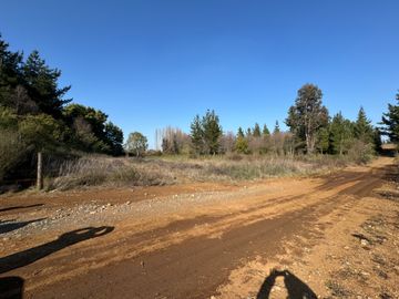 Parcela de 5.000M2 sector El Cardal, comuna Pinto