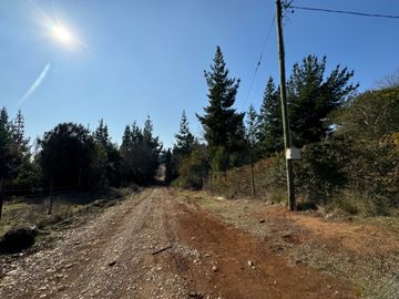 Parcela de 5.000M2 sector El Cardal, comuna Pinto