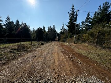 Parcela de 5.000M2 sector El Cardal, comuna Pinto