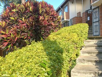 VENDO  CASA DE 2 NIVELES EN TERRANOVA BELLO ANTIOQUIA.