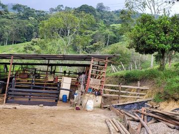 VENTA FINCA CHINACOTA