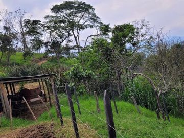 VENTA FINCA CHINACOTA