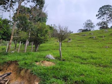VENTA FINCA CHINACOTA