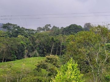 VENTA FINCA CHINACOTA