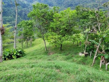 VENTA FINCA CHINACOTA