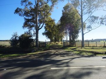 Campo con Casa 150 Ha Aprox. A 11 Km. Osorno   $ 2.247.000.000.