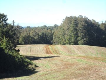 Campo con Casa 150 Ha Aprox. A 11 Km. Osorno   $ 2.247.000.000.