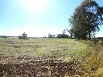 Campo con Casa 150 Ha Aprox. A 11 Km. Osorno   $ 2.247.000.000.