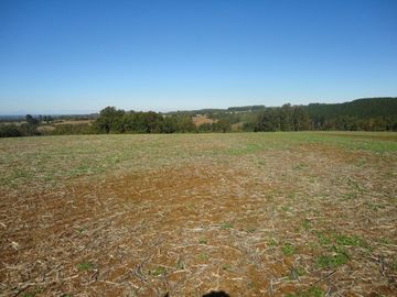 Campo con Casa 150 Ha Aprox. A 11 Km. Osorno   $ 2.247.000.000.