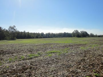 Campo con Casa 150 Ha Aprox. A 11 Km. Osorno   $ 2.247.000.000.