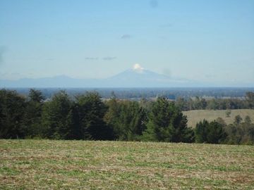 Campo con Casa 150 Ha Aprox. A 11 Km. Osorno   $ 2.247.000.000.