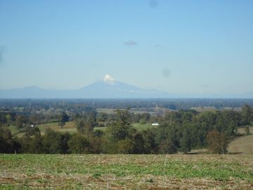 Campo con Casa 150 Ha Aprox. A 11 Km. Osorno   $ 2.247.000.000.