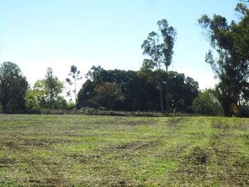 Campo con Casa 150 Ha Aprox. A 11 Km. Osorno   $ 2.247.000.000.