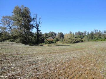 Campo con Casa 150 Ha Aprox. A 11 Km. Osorno   $ 2.247.000.000.