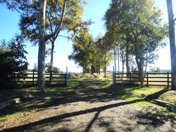Campo con Casa 150 Ha Aprox. A 11 Km. Osorno   $ 2.247.000.000.