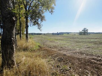 Campo con Casa 150 Ha Aprox. A 11 Km. Osorno   $ 2.247.000.000.
