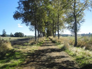 Campo con Casa 150 Ha Aprox. A 11 Km. Osorno   $ 2.247.000.000.