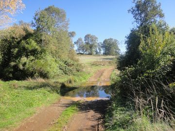 Campo con Casa 150 Ha Aprox. A 11 Km. Osorno   $ 2.247.000.000.