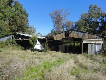 Campo con Casa 150 Ha Aprox. A 11 Km. Osorno   $ 2.247.000.000.