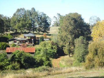 Campo con Casa 150 Ha Aprox. A 11 Km. Osorno   $ 2.247.000.000.
