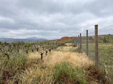 Venta Parcela 5000m2, Casablanca
