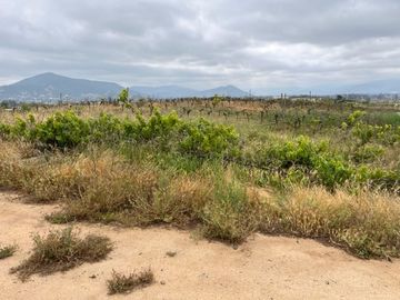 Venta Parcela 5000m2, Casablanca