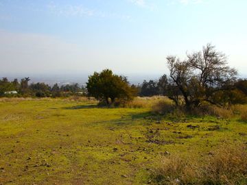 VENDE HERMOSO TERRENO EN CARPAY EN LA REINA ALTA, 10.400 M2. EXCELENTE VISTA Y MUCHA TRANQUILIDAD