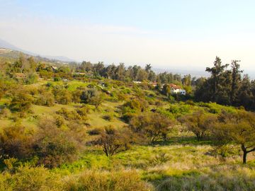 VENDE HERMOSO TERRENO EN CARPAY EN LA REINA ALTA, 10.400 M2. EXCELENTE VISTA Y MUCHA TRANQUILIDAD