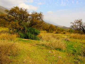 VENDE HERMOSO TERRENO EN CARPAY EN LA REINA ALTA, 10.400 M2. EXCELENTE VISTA Y MUCHA TRANQUILIDAD