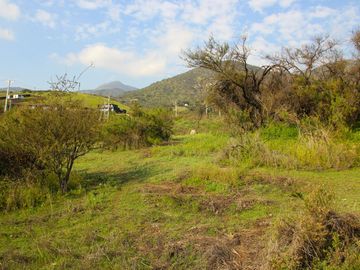 VENDE HERMOSO TERRENO EN CARPAY EN LA REINA ALTA, 10.400 M2. EXCELENTE VISTA Y MUCHA TRANQUILIDAD
