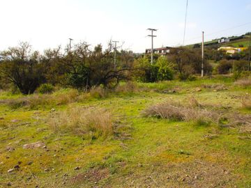 VENDE HERMOSO TERRENO EN CARPAY EN LA REINA ALTA, 10.400 M2. EXCELENTE VISTA Y MUCHA TRANQUILIDAD