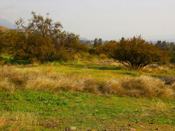 VENDE HERMOSO TERRENO EN CARPAY EN LA REINA ALTA, 10.400 M2. EXCELENTE VISTA Y MUCHA TRANQUILIDAD