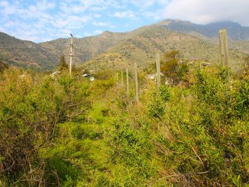 VENDE HERMOSO TERRENO EN CARPAY EN LA REINA ALTA, 10.400 M2. EXCELENTE VISTA Y MUCHA TRANQUILIDAD
