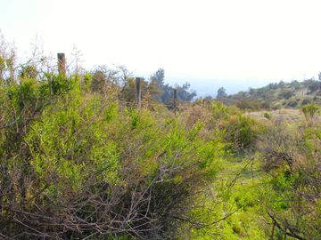 VENDE HERMOSO TERRENO EN CARPAY EN LA REINA ALTA, 10.400 M2. EXCELENTE VISTA Y MUCHA TRANQUILIDAD