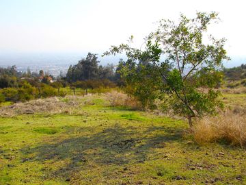 VENDE HERMOSO TERRENO EN CARPAY EN LA REINA ALTA, 10.400 M2. EXCELENTE VISTA Y MUCHA TRANQUILIDAD