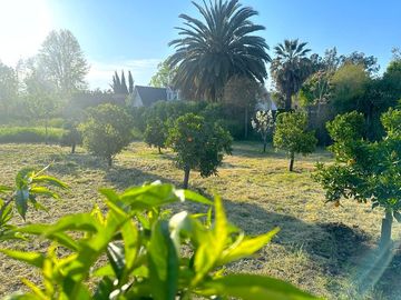 Camino El Algarrobo