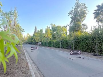 Camino El Algarrobo