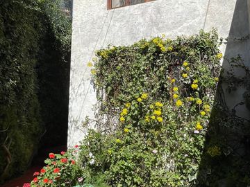 Venta De Casa En Yanahuara A 2 Cuadras De La Av. Ejercito Con Av. Cayma