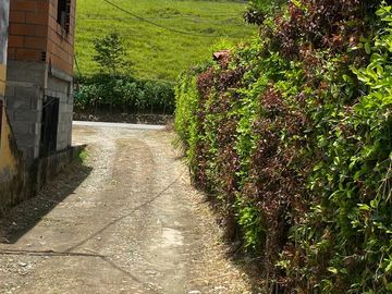 VENDO PROPIEDAD DE CASAS EN 3 NIVELES EN LA VEREDA POPALITO EN BARBOSA ANTIOQUIA.